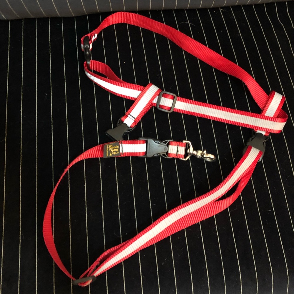 Buddy System leash